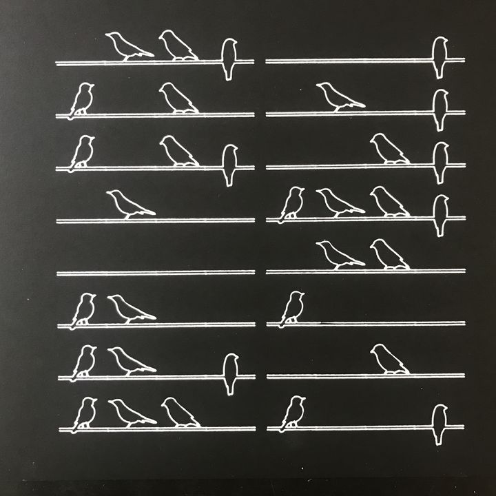 4 bits birds on a branch, white on black, branches shuffled; birds in sequence